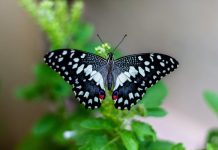 Tavs horoskops veiksmīgai dienai – 30. augusts