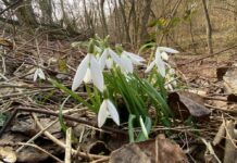 Sinoptiķiem jaunas ziņas par turpmāk gaidāmo