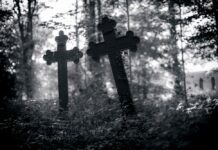 Aizkraukles pusē notver kapu apzadzējus – viens no viņiem strādā…