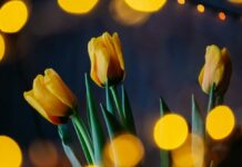 Tavs HOROSKOPS lieliskam MARTAM (2026)