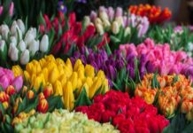 Mēneša horoskops VEIKSMĪGAM MARTAM’2024