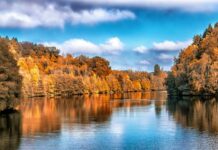 rudens