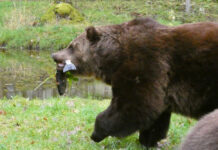 Tavs horoskops veiksmīgai dienai – 14. oktobris