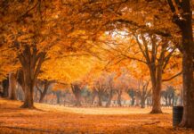 Tavs horoskops veiksmīgai dienai – 4. novembris