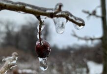 Tavs horoskops veiksmīgai nedēļai: 5.-11. janvāris