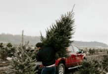 Tavs horoskops veiksmīgam 2025. gada DECEMBRIM