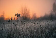 Tavs horoskops veiksmīgai dienai – 10. decembris