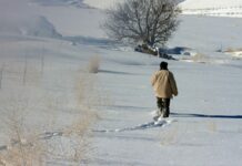 Tavs horoskops veiksmīgai dienai – 13. decembris