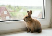 Tavs horoskops veiksmīgai dienai – 14. marts