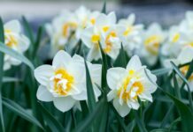 Tavs horoskops lieliskai nedēļai: 9.-15. marts