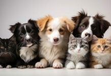 Tavs horoskops veiksmīgai dienai – 25. novembris