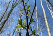 Tavs horoskops veiksmīgai dienai – 20. marts