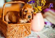 Tavs horoskops veiksmīgai dienai – 14. decembris