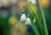 Tavs horoskops veiksmīgai dienai – 9. marts