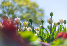 Tavs horoskops veiksmīgai dienai – 16. marts