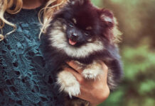 Tavs horoskops veiksmīgai dienai – 15. marts