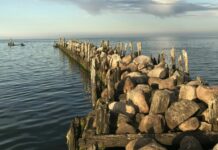 Nedēļas horoskops 1.-7. decembrim