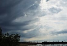 Nav patīkamu ziņu par laiku jaunās nedēļas ievadā