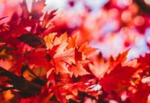 3 zodiaka zīmes, kurām tuvākais laiks būs īpašs