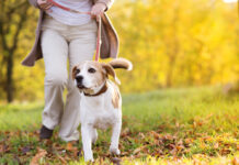 Šīm HOROSKOPA ZĪMĒM 2025. gada NOVEMBRIS būs ĪPAŠI LABVĒLĪGS