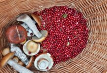 Tavs horoskops veiksmīgai dienai – 28. augusts