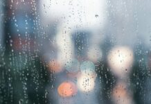 Tavs horoskops veiksmīgai dienai – 27. augusts