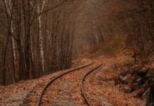 Tavs horoskops veiksmīgai nedēļai: 13.-19. oktobris