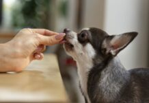 Tavs horoskops lieliskai nedēļai: 8.-14. septembris