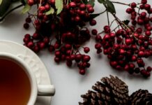 Tavs horoskops veiksmīgai dienai – 12. decembris