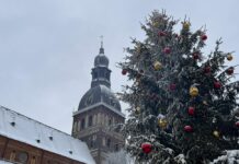 Iereibis vīrietis Latgalē aplaupa jaunu sievieti – guvums ir liels, bet nepatikšanas neliek ilgi gaidīt