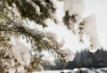 Tavs horoskops veiksmīgai dienai – 30. novembris