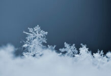 Tavs horoskops veiksmīgai dienai – 14. novembris