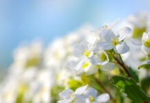 Tavs horoskops veiksmīgai dienai – 10. aprīlis