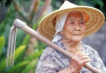 Sieviete nodzīvo līdz 104 gadiem, ik dienu ēdot šos veselīgākos dārzeņus