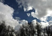 Tavs horoskops lieliskai nedēļai – 16.-22. marts