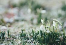 Tavs horoskops veiksmīgai dienai – 25. marts