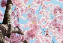 Tavs horoskops veiksmīgai dienai – 19. aprīlis