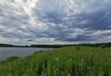 Sinoptiķi pastasta, kas notiks turpmākajās dienās