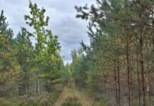 Parādās pilnīgi jaunas ziņas par laiku Zinību dienā un septembra ievadā