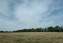 Turpmāk mūs gaida jau pavisam citi laika apstākļi