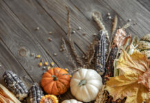 Tavs OKTOBRA HOROSKOPS (2025)