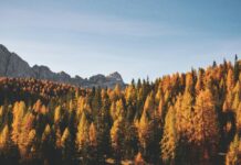 Tavs horoskops veiksmīgai dienai – 19. oktobris