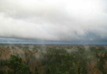 Diemžēl nav patīkamu ziņu par laiku oktobra otrajā nedēļā
