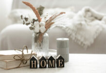 Kā gudri pasargāt mājokli no alergēniem, vīrusiem un dzīvnieku spalvām