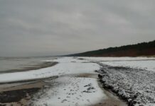 Pavisam jaunas ziņas par laiku valsts svētkos un pēc tiem