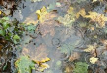 Sinoptiķi paziņo, kad gaidāms pirmais sniegs – prognozes 7 dienām!