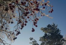 Diemžēl nav patīkamu ziņu par laiku šonedēļ