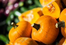 Rupjmaize, ķirbis un zefīrs – neparasts, bet lielisks salikums svētku desertam