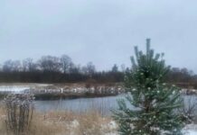 Sinoptiķi atklāj jaunumus par laiku pirmssvētku nedēļā