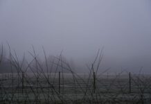 Tuvojoties svētkiem, laika apstākļi mainīsies